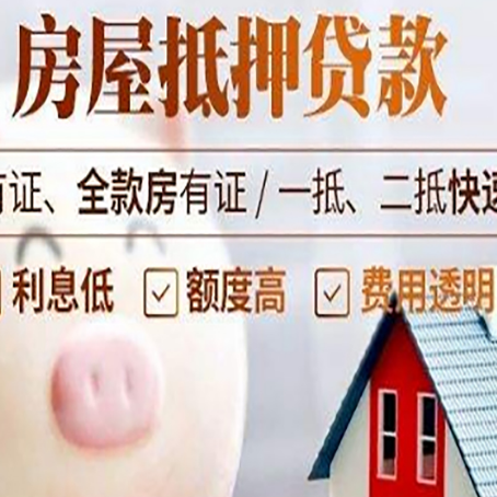 沧县贷款助贷公司新渝启服靠谱公司