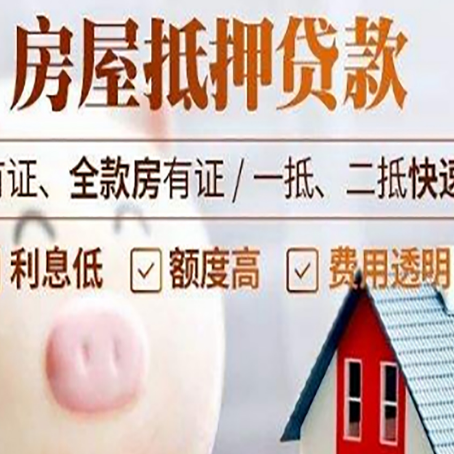 沧县贷款助贷公司新渝启服成立时间久